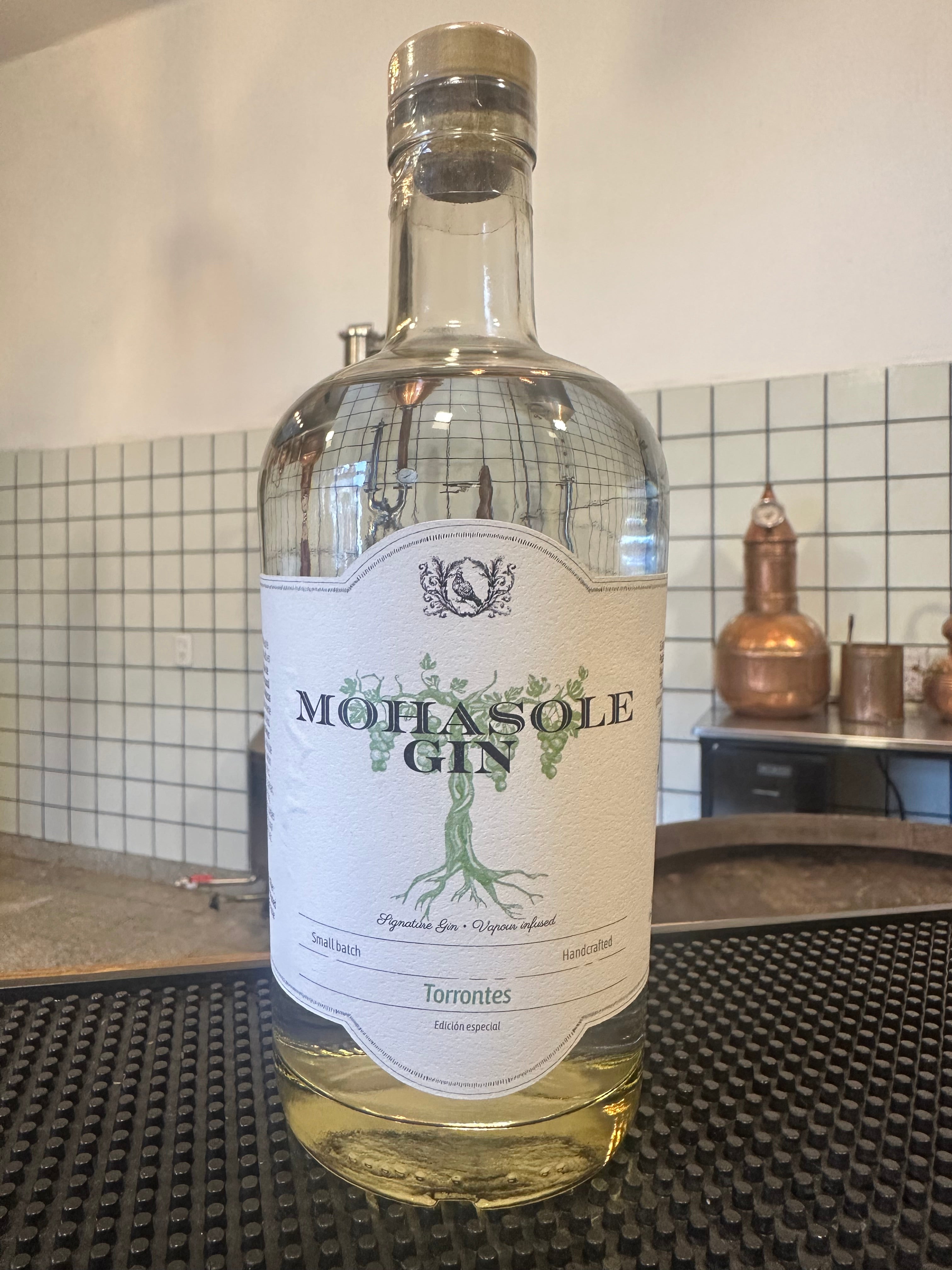Gin de Torrontes