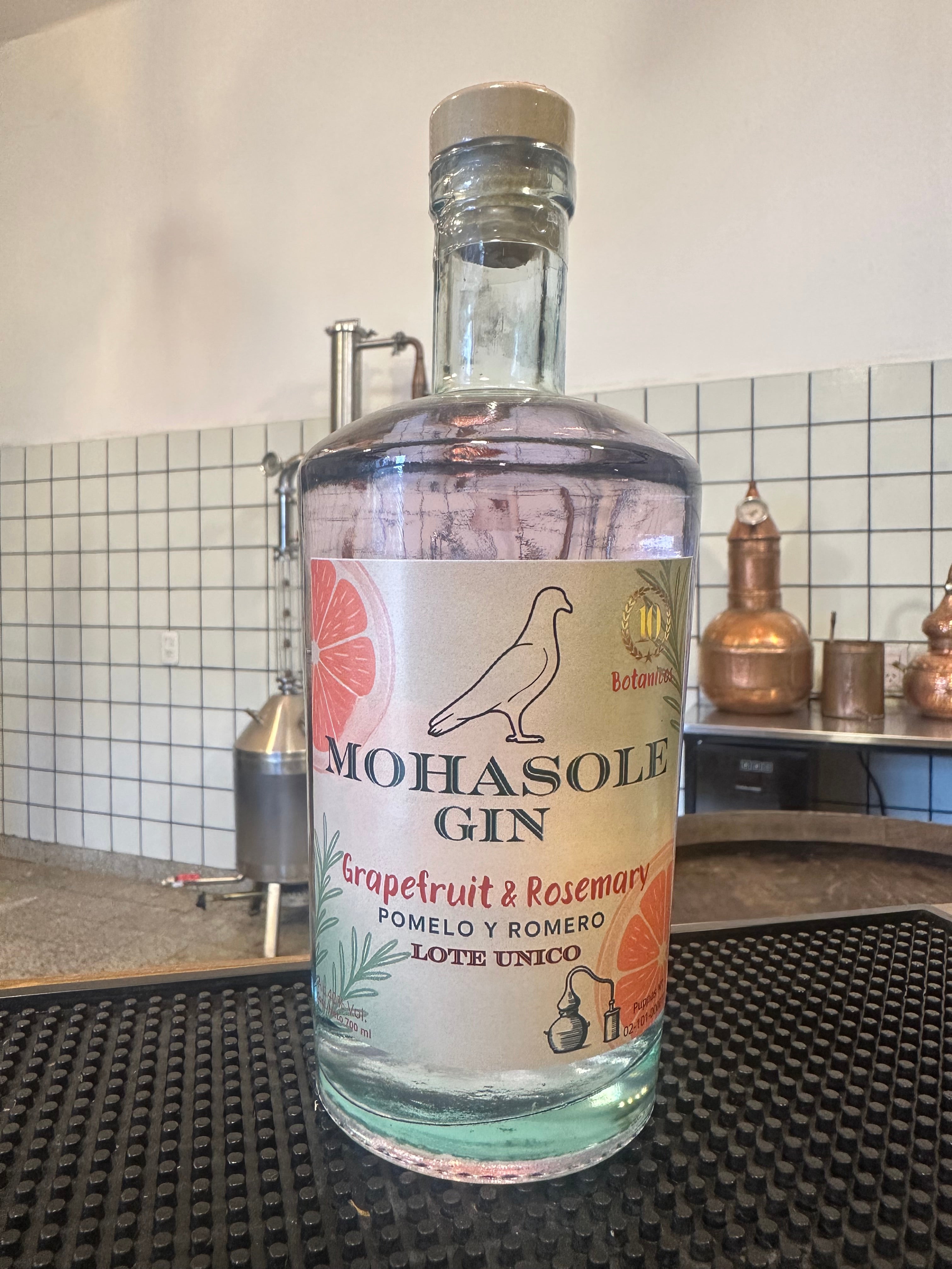 Gin pomelo y romero