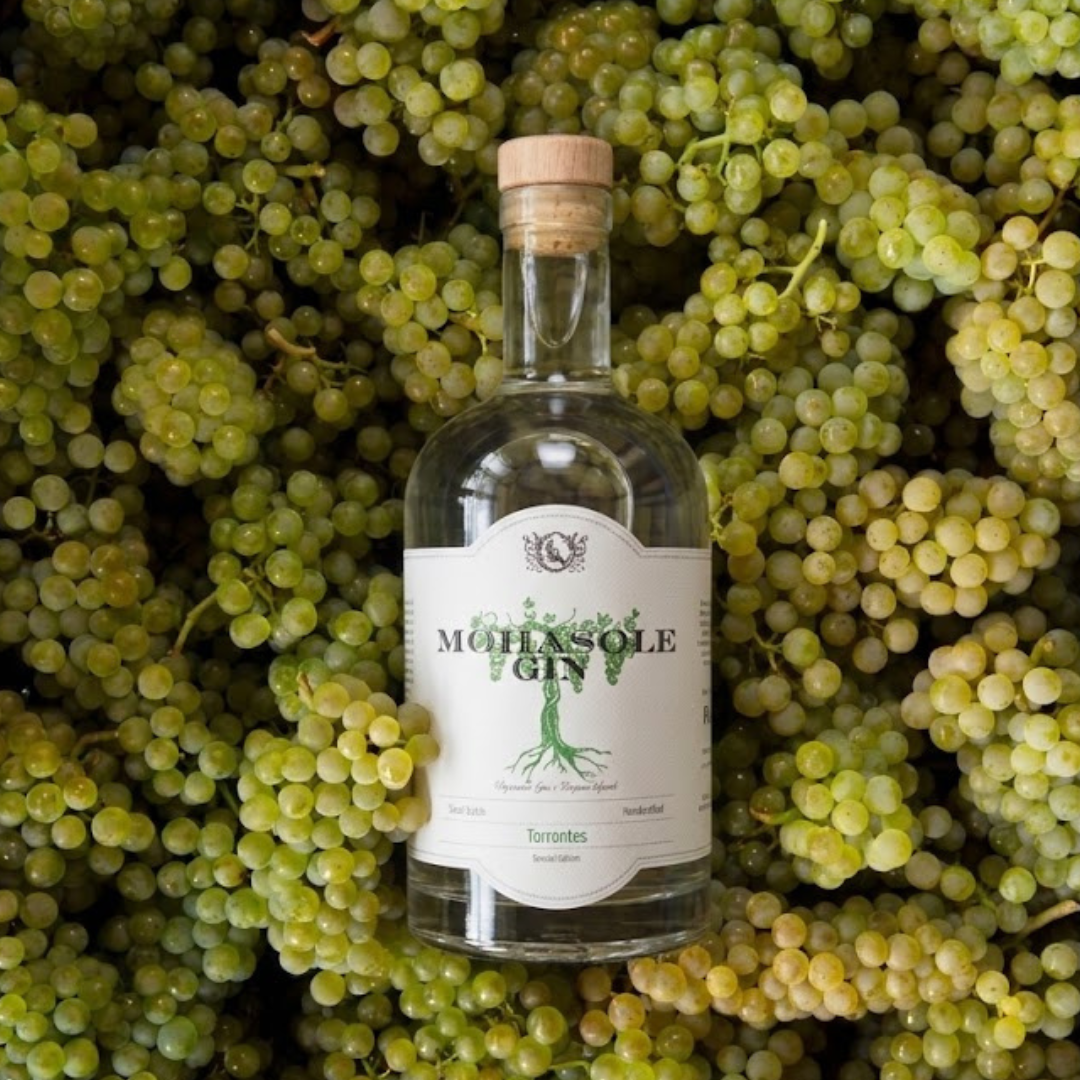 Gin Torrontes 750ml